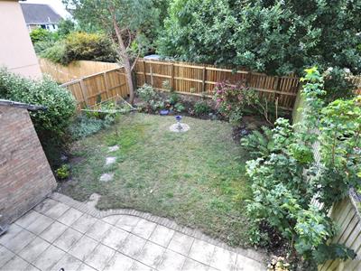 Picture 13